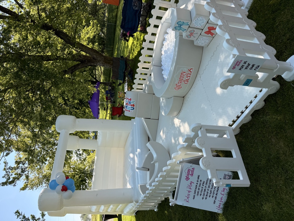 Fourth of July party setup in the park
