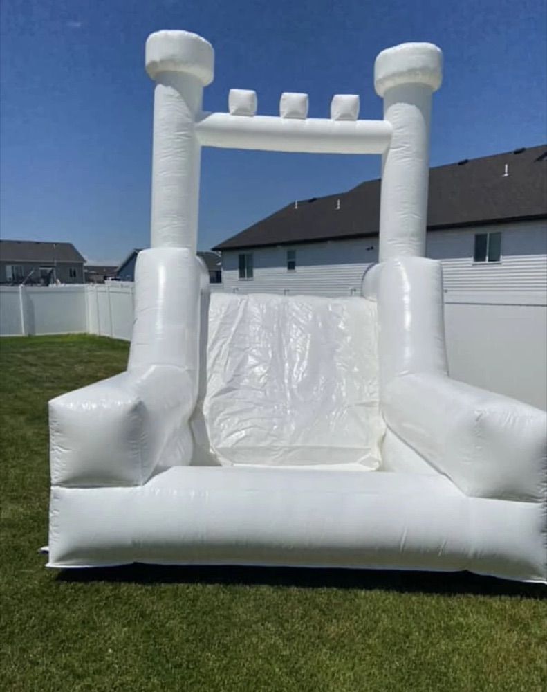 Dreamy Royal inflatable slide and ball pit