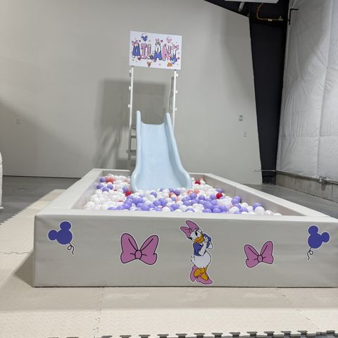 Minnie and Daisy-themed ball pit and slide with a custom name banner