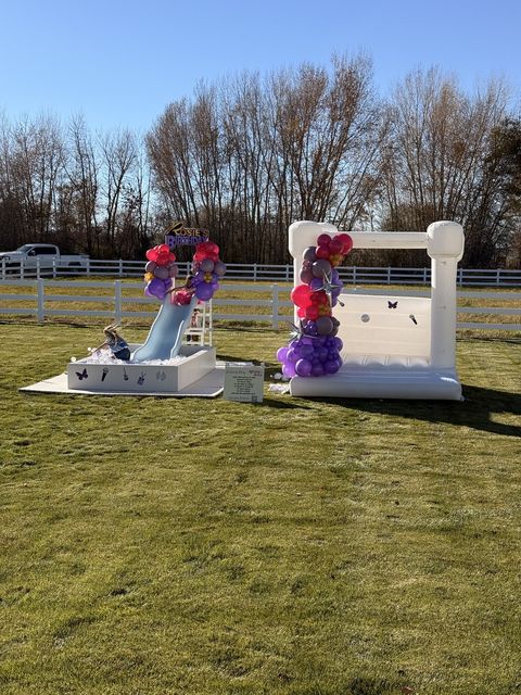 Slide, ball pit, and bounce house set up on a big lawn