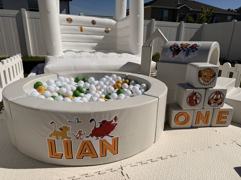 Lion King-themed ball pit, soft play blocks, and bounce house